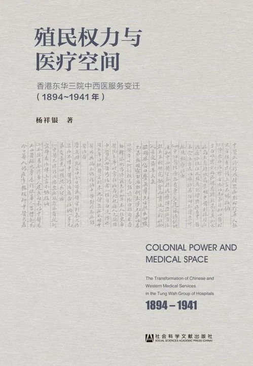护国天医，一部跨越时空的医学传奇（90集深度解析）