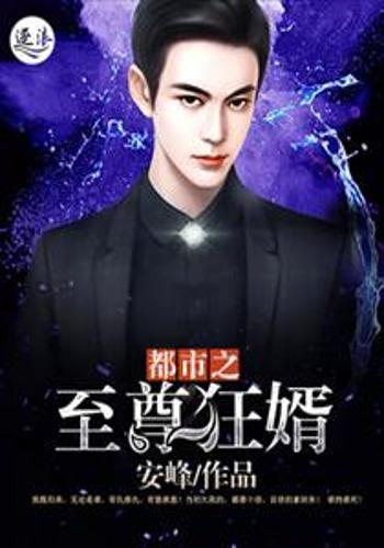 狂婿至尊（100集），权力与爱情的交织