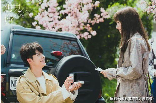 炮灰后妈终于洗白了（第96集），李胜楠的逆袭之路