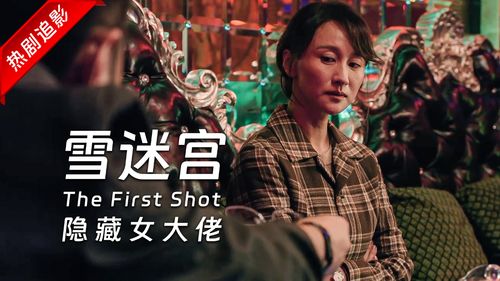 庄总、首富姐姐与隐藏大佬，我妈的非凡故事（73集）
