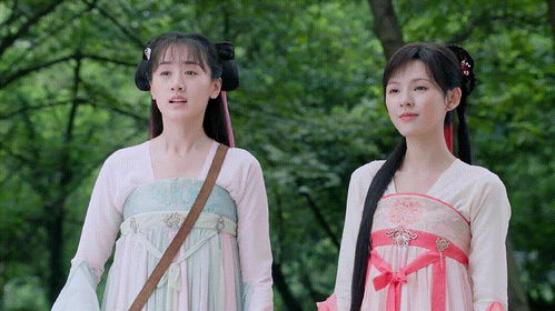 隐世龙凤之相错亲嫁对郎（61集）