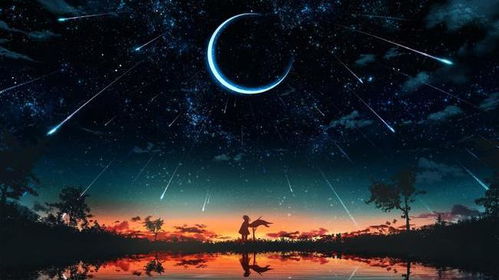 为你摘星拾月（68集）之严雯丽的星辰大海