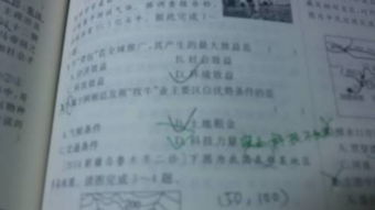 我与江少的不良关系（79集）