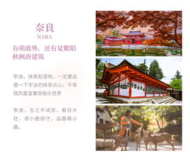 给前夫的白月光让位后（游雅篇）——深度解析与感悟（100集连载）