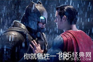 影子的反击（第31集），黑暗中的正义之战