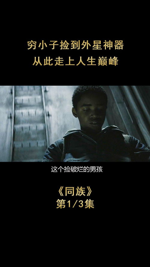 逆境崛起，三个哥哥被撞飞后我走上人生巅峰（84集精彩回顾）