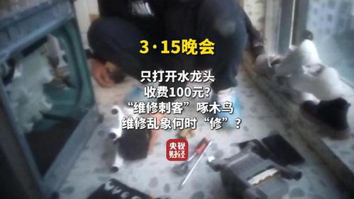 维修刺客啄木鸟，水龙头下的技术与艺术，百元服务的背后故事