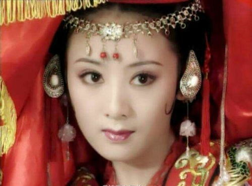 领错结婚证嫁对郎，彭瑶的意外人生（共100集）
