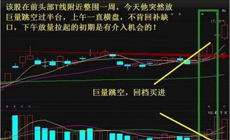 啄木鸟连续3年毛利率超80%，卓越经营之道与盈利秘诀