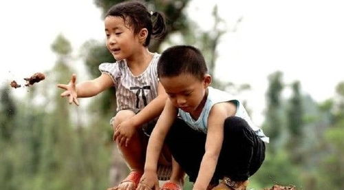 母子就餐遭遇无座困境，男孩善举展现人间温情
