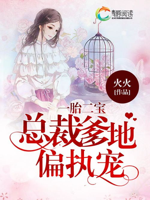 一胎二宝总裁爹地超凶猛