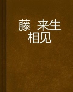 叶总来生不愿再相见（74集）