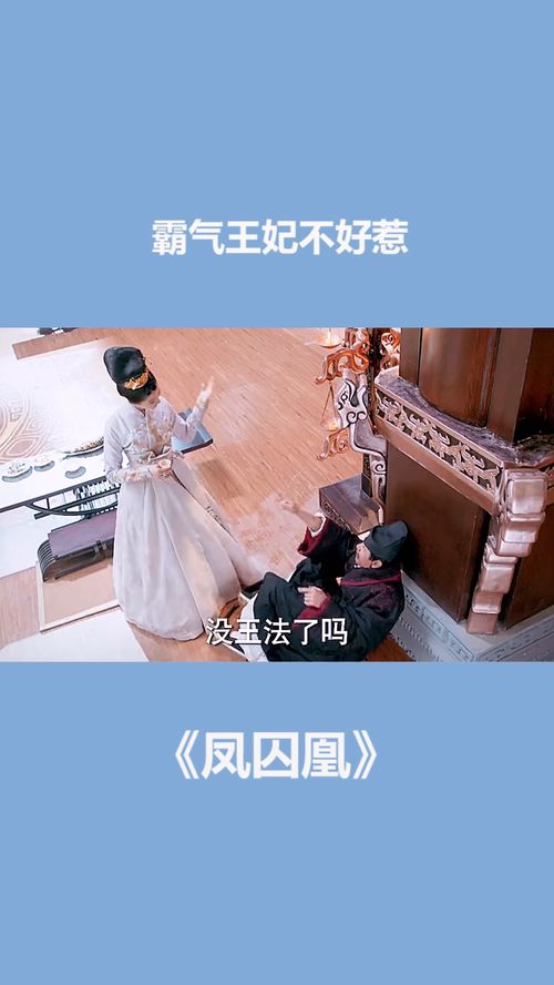 穿越王妃不好惹（93集）
