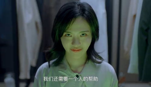 消失的主妇（电视剧）