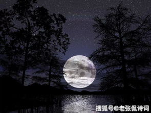 亲吻月亮（93集）的诗意与情感交织