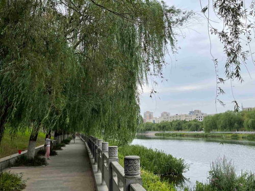 豪雄归来，财狼亲戚恶有恶报（第41集）