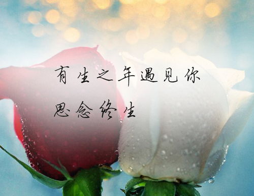 若相思，终相见