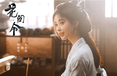 前妻归来不可欺，情感纠葛与人性探索的95集深度剖析
