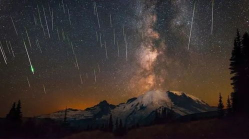黑暗中的星星，希望与坚韧之光芒