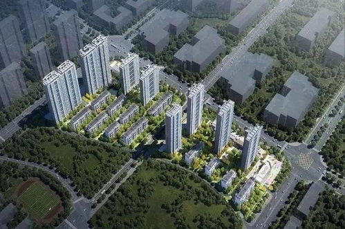 龙行天下横行四海（71集）