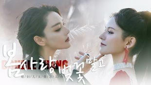 笙笙予你（87集），音符中的情感流淌