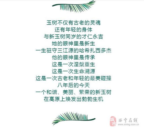 幸福双宝养成记（第89集），幸福的足迹，双宝的成长之路