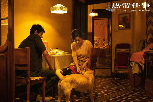 揭秘许家印前妻半年花费四百万美元的幕后故事