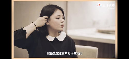 寻子富商谢岳的坚定回应，只有一个儿子