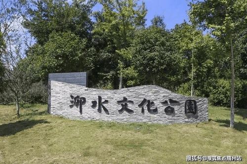 网传尼日尔中企投资打水漂的背后真相揭秘