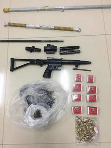 男孩玩射钉枪误杀6岁妹妹，其父获刑——悲剧背后的反思