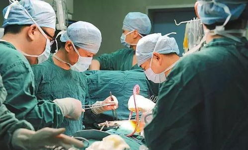 家属称坠亡女子拔牙未打麻药事件，真相与反思