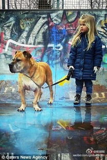 犬父虎子，一部深度剖析家庭教育的81集力作