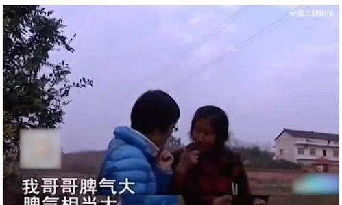 少帅与离家的夫人，一场风云变幻的情感纠葛（100集剧情概述）