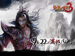 天龙枭婿，江湖风云与爱恨交织的传奇
