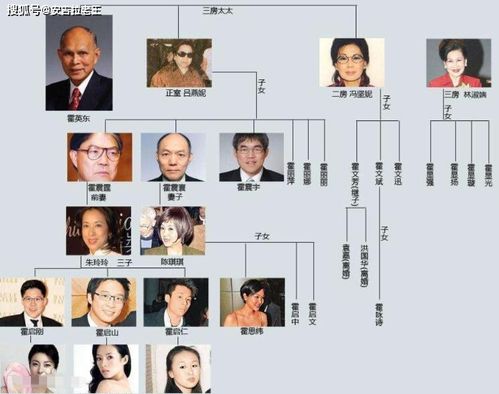 霍总儿子真是你亲生的——鲍芝玥的故事（第82集）