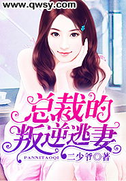 女总裁的上门龙婿，权力与爱情的交织（100集剧情解析）