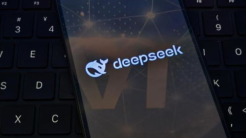 视觉版DeepSeek，探索强大功能的无限潜力