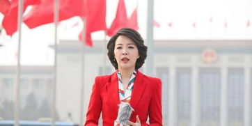 飒爽妈咪有钱又有颜，都市女性的魅力与风采（共86集）