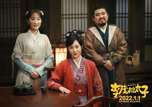 太子太子你好坏（100集）