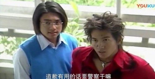 新版电视剧霸道总裁爱上我，深度解析与观感（103集）