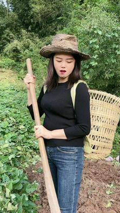 回村的诱惑，乡村生活的魅力与变迁（第94集）