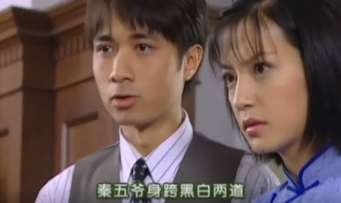 女总裁的顶流小娇夫（101集）
