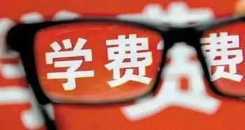 关于东莞一学校因跳蚤全校放假传闻的辟谣