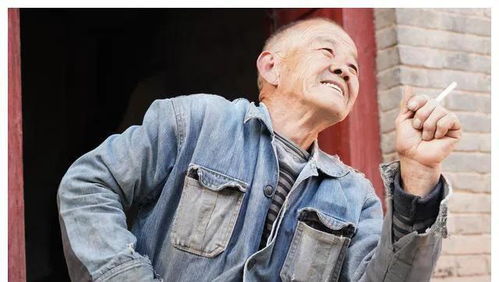 我的三个儿子是大佬（81集）