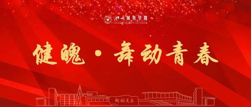 六十大寿，五十集人生庆典的辉煌篇章