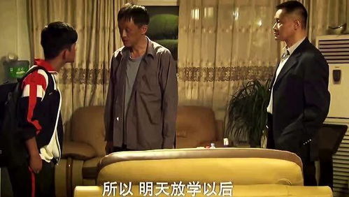 农民家的总裁儿子，奋斗与荣耀的交织