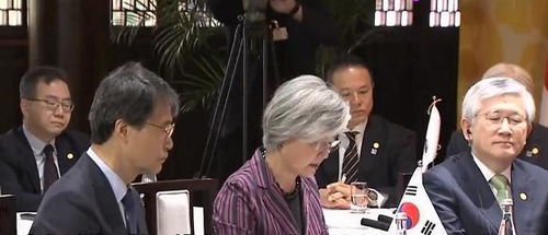 中日韩三国外长达成共识，共同应对全球挑战与深化区域合作
