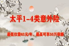 雁归来（65集）(1)，归途的启示