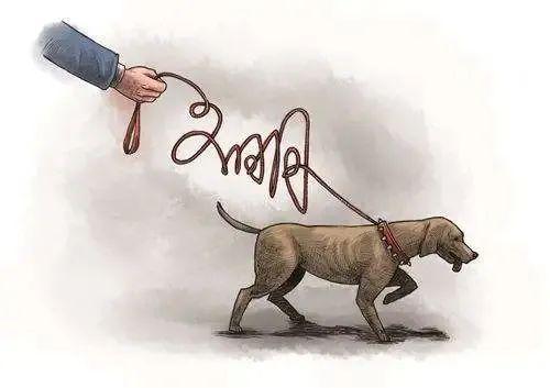 犬父虎子，深度解读一部传世之作（81集）