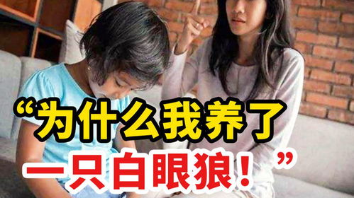 我的白眼狼儿子